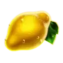 icon 6