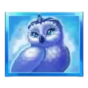 icon 6