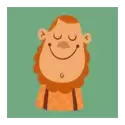 icon 4