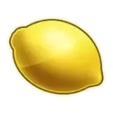 icon 9