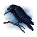 icon 7
