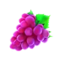 icon 5