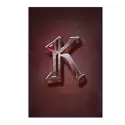 icon 5