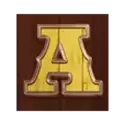 icon 5