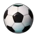 icon 1