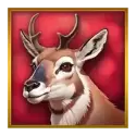 icon 1