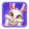 icon 6