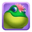 icon 4