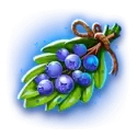 icon 5
