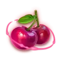 icon 5