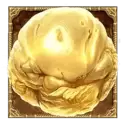 icon 11