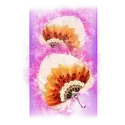 icon 10
