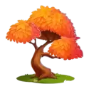 icon 6