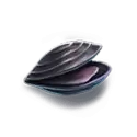 icon 10