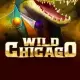 Wild Chicago