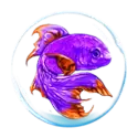 icon 4