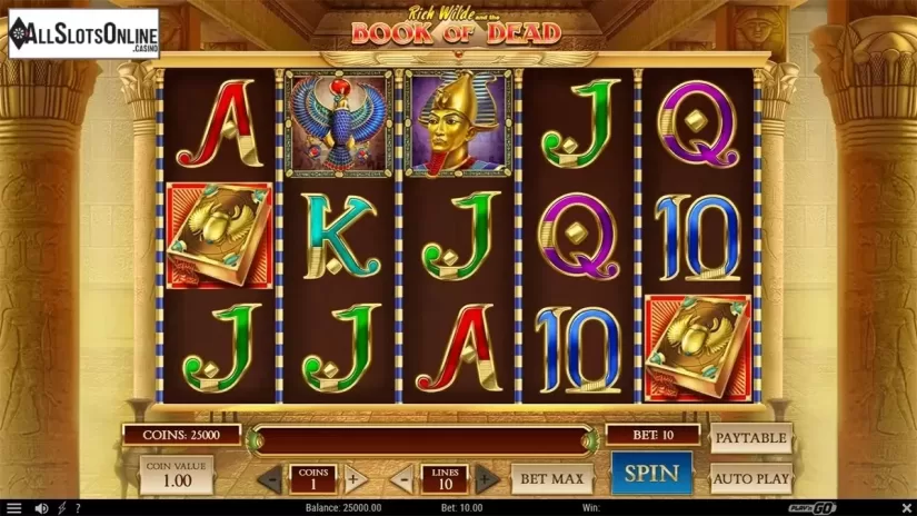Reels screen. Book of Dead from Play'n Go