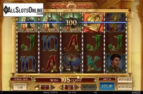 Wild win screen 2. Book of Dead from Play'n Go