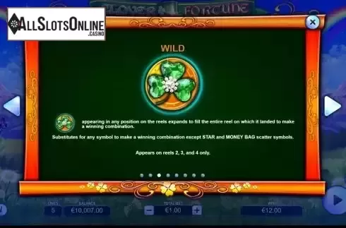 Wild Symbol screen