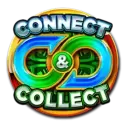icon 13