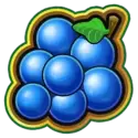 icon 6