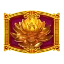 icon 15
