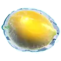 icon 5