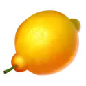 icon 4