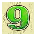 icon 13