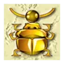 icon 5