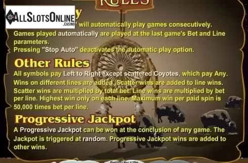 Rules. Rain Dance from RTG