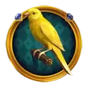 icon 3