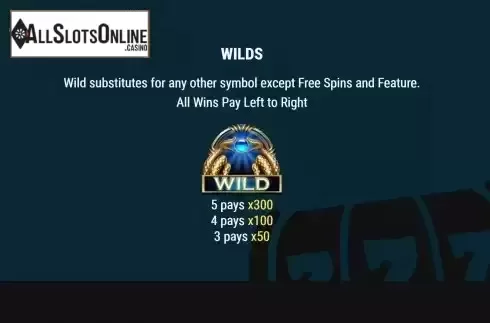 Wild pays screen