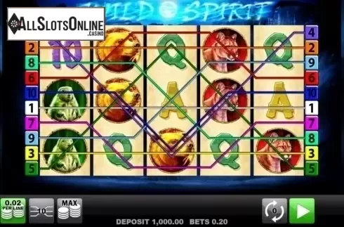 Paylines. Wild Spirit (edict) from edict