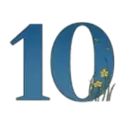 icon 10