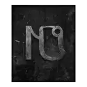 icon 10