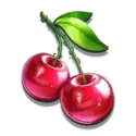 icon 5