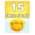 Bonus Buy 15 Free Spins