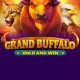 Grand Buffalo Hold and Win