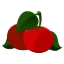 icon 7