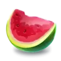 icon 1