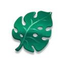 icon 6