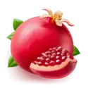 icon 2