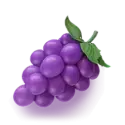 icon 5