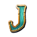 icon 9
