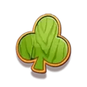 icon 9