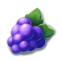 icon 6