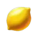 icon 6
