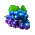 icon 3