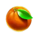 icon 4